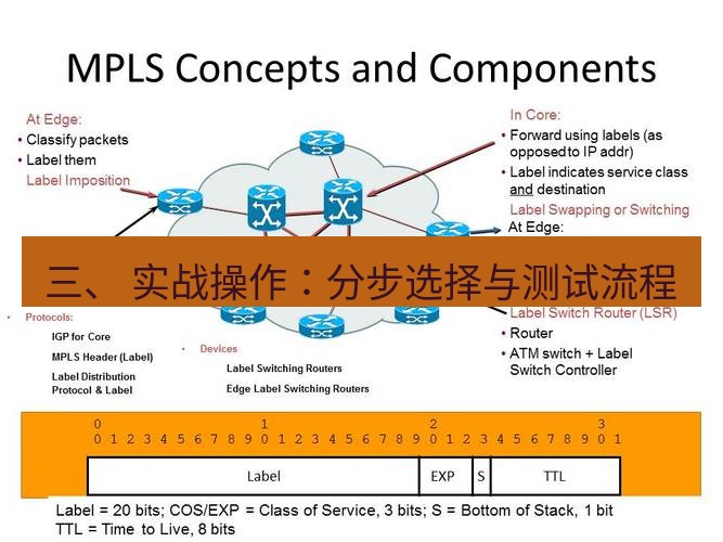 快连VPN 三、 实战操作：分步选择与测试流程
