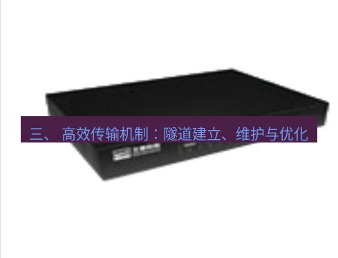 快连VPN 三、 高效传输机制：隧道建立、维护与优化