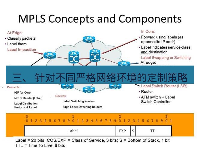 快连VPN 三、 针对不同严格网络环境的定制策略